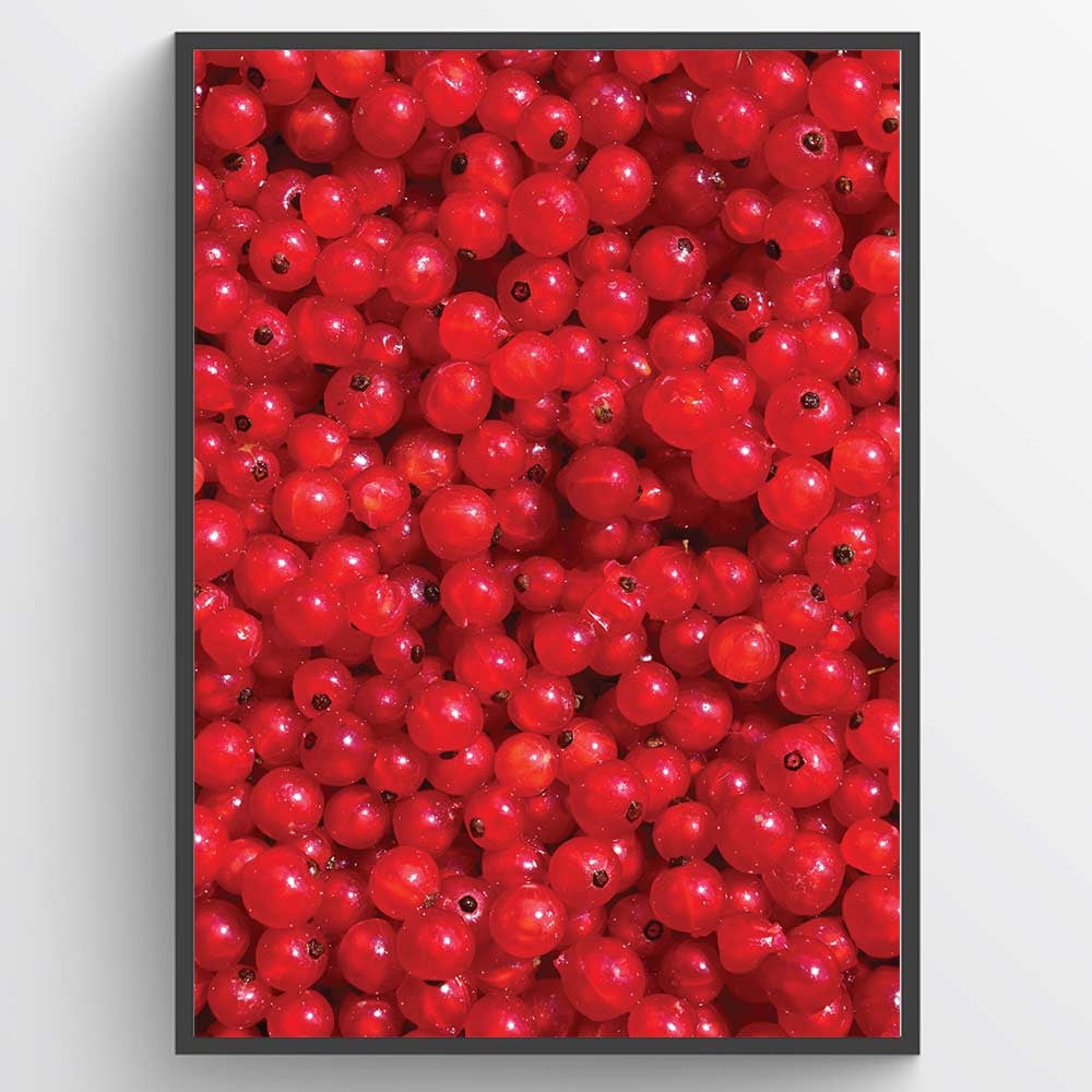 Red berries Poster